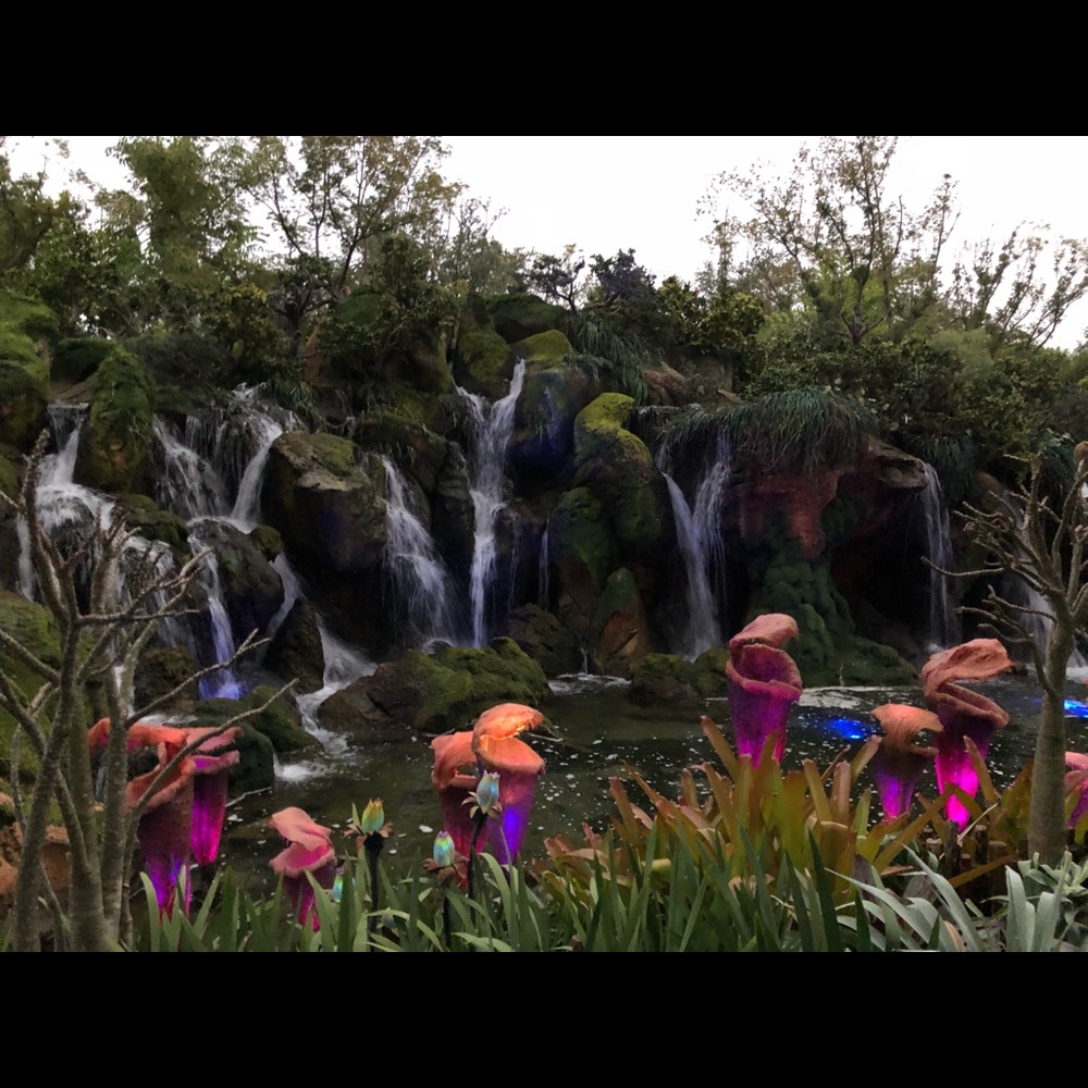 Meet your Posher, Joy